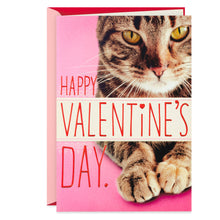 Load image into Gallery viewer, You're in My Chair Funny Valentine's Day Card From the Cat