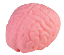 Load image into Gallery viewer, Easy Squeezy Jumbo Brain Squish
