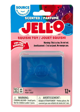 Load image into Gallery viewer, Jell-o Squish Toy
