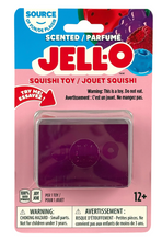 Load image into Gallery viewer, Jell-o Squish Toy
