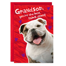 Load image into Gallery viewer, You're the Best Paws Down Valentine's Day Card for Grandson
