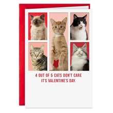Load image into Gallery viewer, Cats Don't Care Funny Valentine's Day Card
