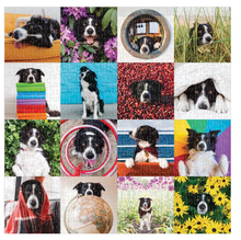 Load image into Gallery viewer, Momo The Dog 500 Piece Jigsaw Puzzle
