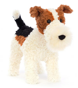 Hector Fox Terrier