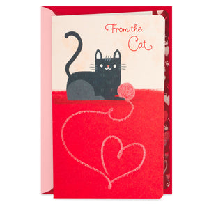 Pawsitively Purrfect Valentine's Day Card From the Cat