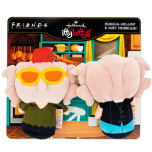 Load image into Gallery viewer, itty bittys® Friends Joey and Monica Plush, Set of 2
