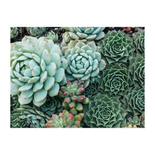 Load image into Gallery viewer, Succulent Garden Double Sided 500 Piece Jigsaw Puzzle
