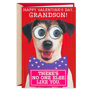 No One Else Like You Funny Valentine's Day Card for Grandson