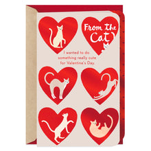 Load image into Gallery viewer, Really Cute Valentine's Day Card from Cat

