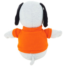 Load image into Gallery viewer, Peanuts® Joe Cool Snoopy Stuffed Animal, 12&quot;
