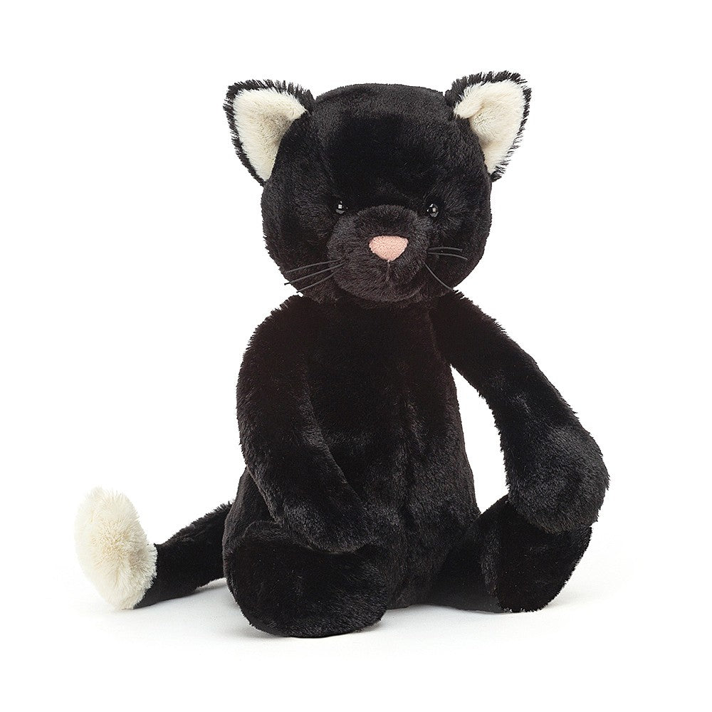 Bashful Black Kitten 12