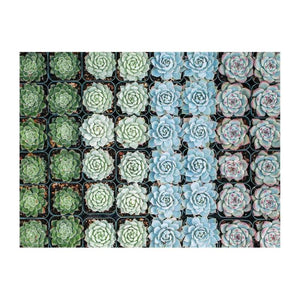 Succulent Garden Double Sided 500 Piece Jigsaw Puzzle