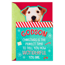 Load image into Gallery viewer, How Wonderful You Are Christmas Card for Godson
